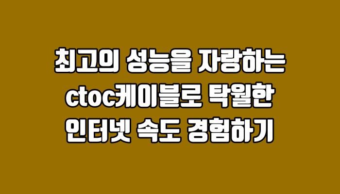 최고의 성능을 자랑하는 ctoc케이블로 탁월한 인터넷 속도 경험하기