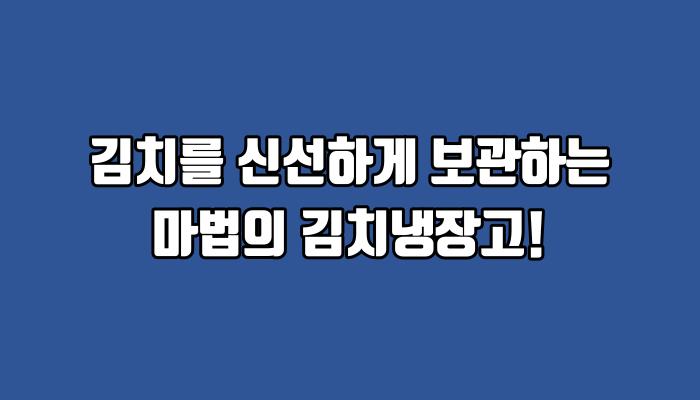 김치를 신선하게 보관하는 마법의 김치냉장고!